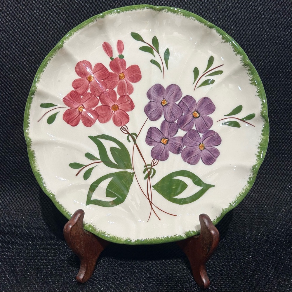 Blue Ridge Pottery Nove Rose 9” Scalloped Plate Stunning 🤩 Vintage